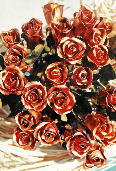 Rosa